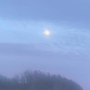 Meet your Posher, Frances